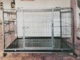 Gitterbox für große Hunde in 32816