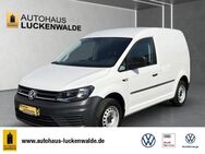 VW Caddy, 1.4 TGI EcoProfi Cargo, Jahr 2018 - Luckenwalde