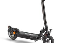 Blu:s Stalker XT950 E-Scooter mit Straßenzulassung ABE (13 Ah / 350 Watt / 50 km / 20 km/h) inkl. 10" Luftreifen und Scheibenbremsen - Kaiserslautern