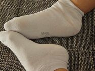 W26-Feuchte/Stinke Socken(gr36) mind.4 Tage getragen! - Fulda Zentrum