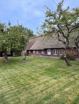 Denkmalschutz: Charmantes Reetdachhaus aus ca. dem Jahr 1790 in Rabenholz - Rabenholz