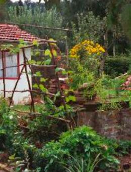 Info wo gibt es ein  Klein schrebergarten mit Hütte - Aalen