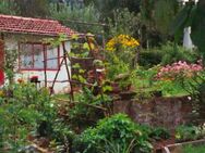 Info wo gibt es ein  Klein schrebergarten mit Hütte - Aalen