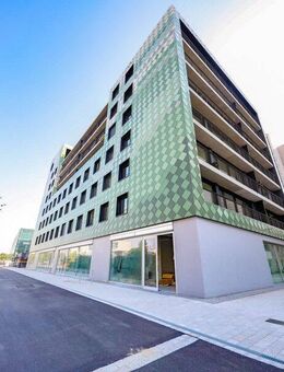 Lichtdurchflutete Wohlfühloase mit Balkon und moderner Einbauküche - großzügig & elegant wohnen - Dresden
