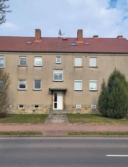 ruhige, schöne kleine Wohnung .... incl. Garage mit Nebenräumen - Oebisfelde-Weferlingen