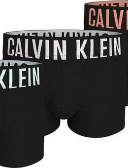 Calvin Klein Underwear Trunk TRUNK 3PK (Packung, 3-St., 3er) mit Logo-Stretchbund