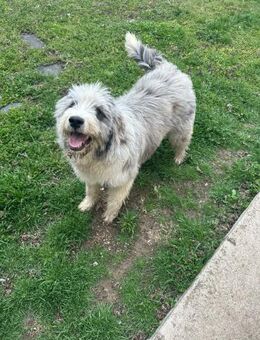 Marcia sucht ihr Eigenheim - Celle