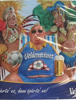 Veldensteiner Brauerei - Probierts´ es, dann spürts´ es - Blechschild 29,5 x 21 cm - Motiv 5 - Doberschütz