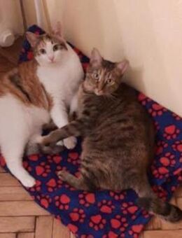 Rachel und Nines - Ingolstadt