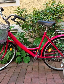 26 er Damen Fahrrad Cityrad 6 Gang Shimano Trommelbremse TOP! - München