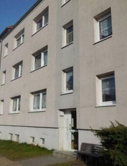 4-Raum-Wohnung in ruhiger Wohnlage von Belgern - Belgern-Schildau