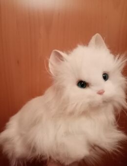 Katze zum Spielen od. Sammeln, Haushalt I. Modeschmuck - Himmelkron