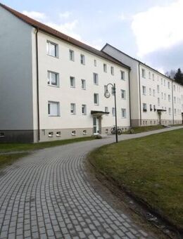 2-Raum-Wohnung modern saniert in Top Lage, in Neustadt i. Sa. - Neustadt (Sachsen)