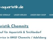 Aquarium, Teichpflege (Reinigung - Pflege - Service - Betreuung) - Chemnitz