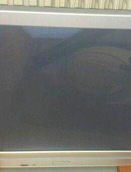 Panasonic TV mit Reciver - Bingen (Rhein)
