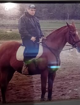 45 Jähriger Mann sucht Frau bis 40 für die 2. Lebenshälfte - - Bamberg