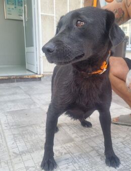 Vesna - aufgeweckt, jung und sozial - Müglitztal