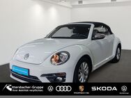 VW Beetle, 1.2 TSI Cabrio Design, Jahr 2018 - Kaiserslautern