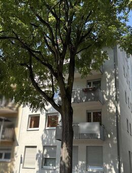 Citynahe 3-Zimmerwohnung mit riesiger Dachterrasse und zwei Balkonen in der Heilbronner Kernstadt - Heilbronn