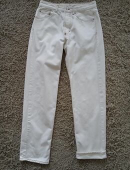 Jeans von United Colors …, Größe W31 R31 - Münster (Hessen)