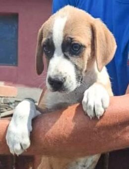 Nikita 🥰🥰🥰 - Winsen (Aller)