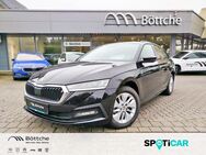 Skoda Octavia, 2.0 TDI Ambition FRONT, Jahr 2022 - Völpke