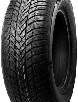 Bridgestone Winterreifen LM-005, 1-St., in verschiedenen Ausführungen erhältlich