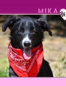 ❤ MIKA ❤ - KANN ICH DEIN HERZ EROBERN? - Alfeld (Leine)