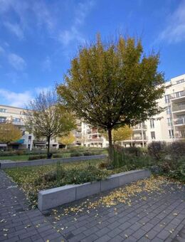 Neuwertige 3 Zi. EG-Wohnung mit eigenem Garten, EBK und TG-Platz - Frankfurt (Main)