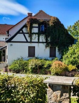 Auf dem Land ankommen: Liebevoll gestaltetes Haus, großer Garten, weiter Blick in Lothra - Drognitz