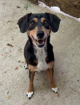 GILDU - HATTE ZWEI HERRCHEN - Nörten-Hardenberg