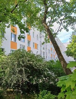 Frisch sanierte Wohnung! Mietvertrag ab 30.09.2025 möglich! - Dresden