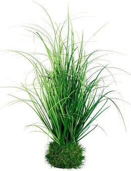 Kunstgras Grasbusch Gras, Creativ green, Höhe 50 cm, auf Grasballen
