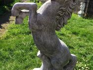Aufzuchtpferdchen aus massivem Kunststein, wunderschön! - Heek