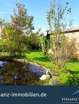 Burhafe: Stilvoller Flachdachbungalow mit Blick ins Grüne! #212 - Wittmund