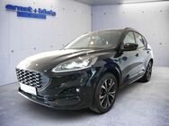 Ford Kuga 2.0 EcoBlue 4x4 Aut. ST-LINE X - Freiburg (Breisgau)