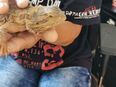 Bartagamen Mädchen 3 Jahre sucht dringend eine neues Zuhause in 33415