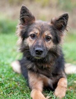 ein sicheres Zuhause für Alissa - Augsburg