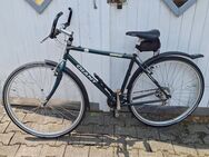 Giant X 1000 Herrenfahrrad grün 18gang 28zoll Reifen Rad Bike 54cm Rahmenhöhe - Essen