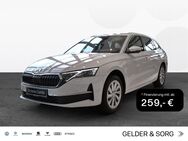 Skoda Octavia, 2.0 TDI Exclusive ||KESYY|, Jahr 2022 - Coburg