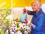 SeniorenWohnen im beliebten Stadtteil! - Neubrandenburg
