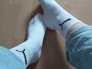 Getragene weiße Tennissocken von Puma - Paderborn