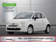 Fiat 500 1.0 Mild Hybrid Cult //Klima/DAB/Nebelscheinwerfer - Thannhausen