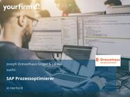 SAP Prozessoptimierer - Herford (Hansestadt)