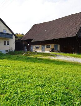 Ideal für Pferd und Reiter - Hof in idyllischer Alleinlage, eigene Zufahrt mit 4 ha Land - Bergatreute
