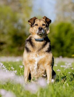 Mimi - 76189 Karlsruhe - Philippsburg