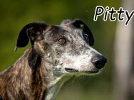 Pitty Platsch sagt Hallooooo - Essingen (Rheinland-Pfalz)