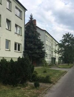 *NEU* 1 Zimmer Wohnung mit Gemeinschaftsgarten - Apenburg-Winterfeld