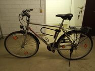 Fahrrad Herrenrad Kalkhoff - Hohen Neuendorf
