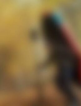 Mic*** - Kirchberg (Sachsen)